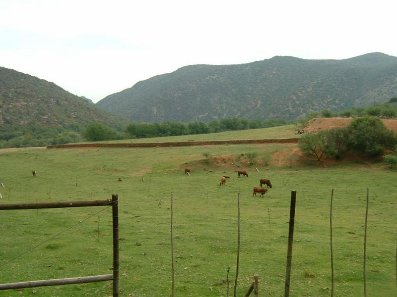 0 Bedroom Property for Sale in De Rust Western Cape